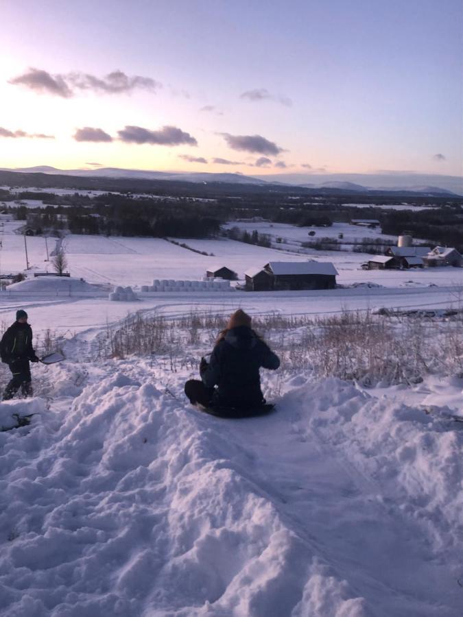 Fin Laegenhet I Centrala Oviken, Mellan Fjaell&Stad Esterno foto